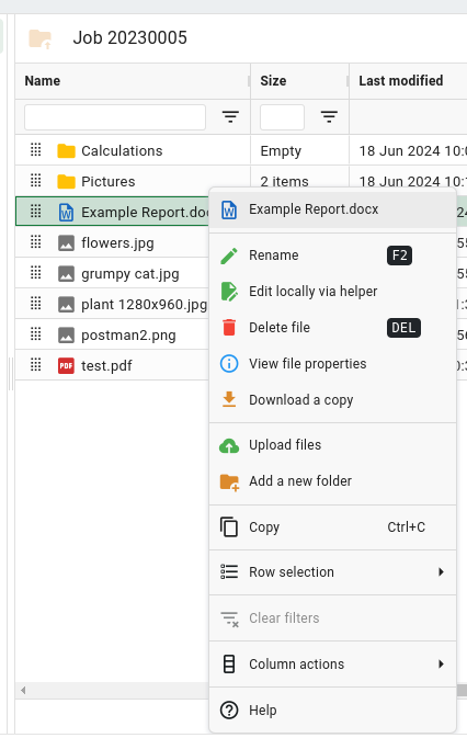Context menu for a single file