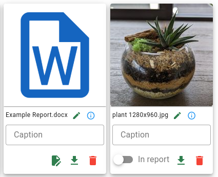 Files in the flat view