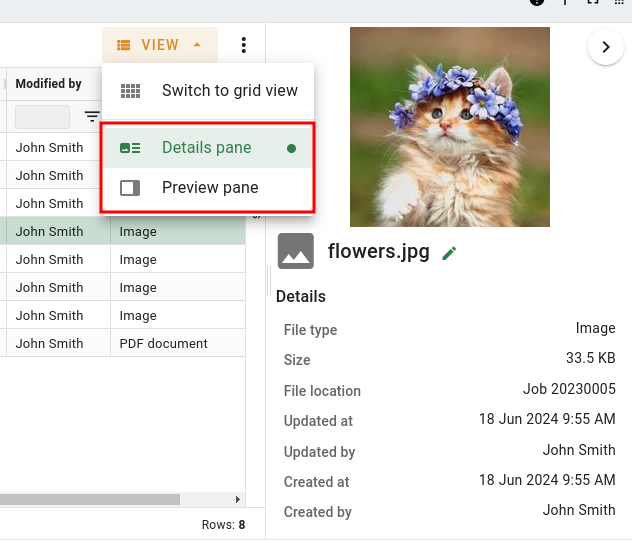 View dropdown for toggling side panel with the detail mode open
